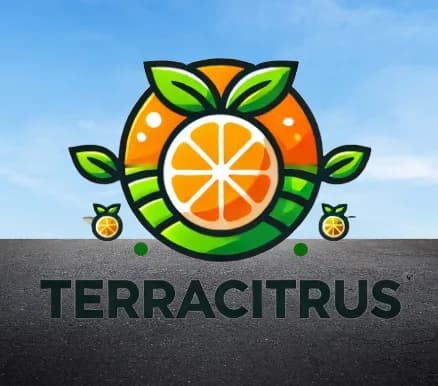 Cartão do papel de CEO da TerraCitrus, produtora de suco de laranja, na simulação