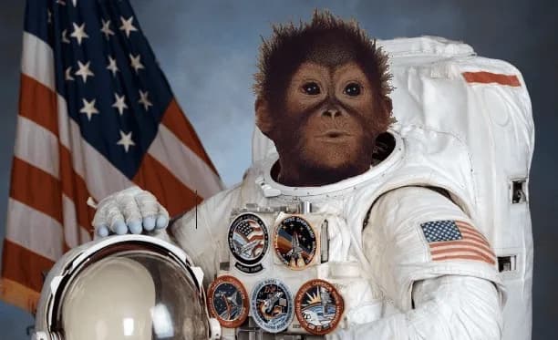 Macaco astronauta, personagem imaginário da história divertida sobre a Área 51
