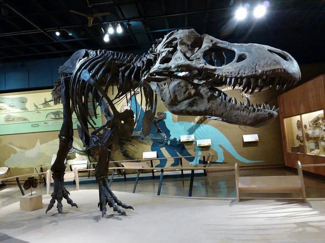 Museu de História Natural de Cleveland com exposições de dinossauros e geologia