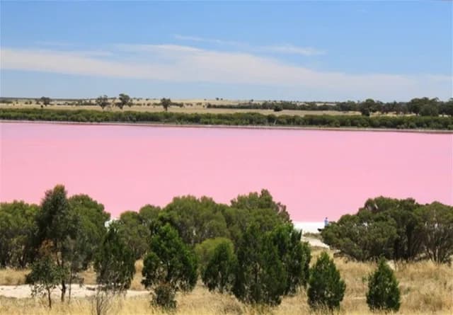 Lac Rose, o lago rosa, atração turística do Senegal