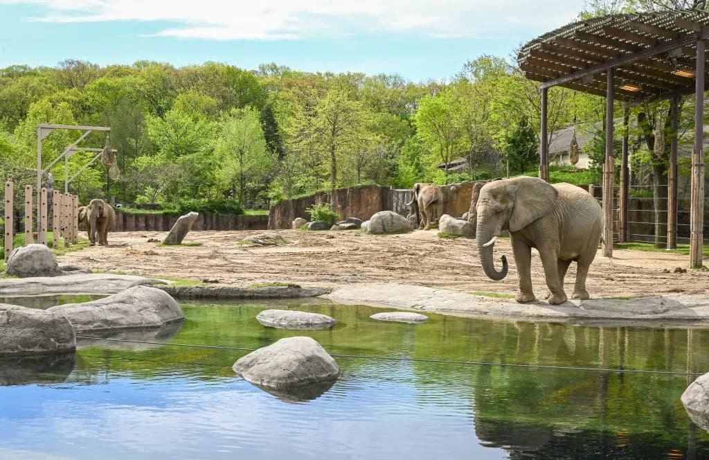 Animais no Zoológico Metroparks de Cleveland, voltado a famílias