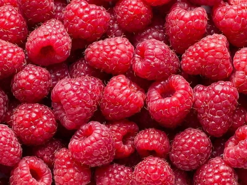 Como se diz Framboesas em inglês? Raspberries