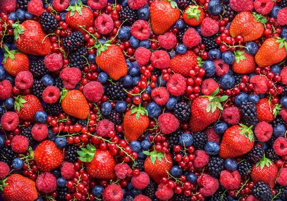 Ilustração de oito tipos de frutas vermelhas organizadas em uma grade, com o nome de cada fruta embaixo. De cima para baixo, da esquerda para a direita: framboesas, jostaberries, amoras, groselhas, morangos, mirtilos, boysenberries e groselhas-verdes.