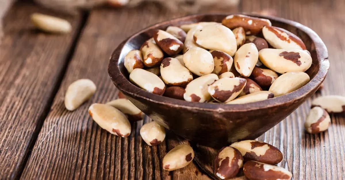 Castanhas-do-Pará em um prato, exemplificando o ensino de inglês focado em saúde, nutrição e exportação.