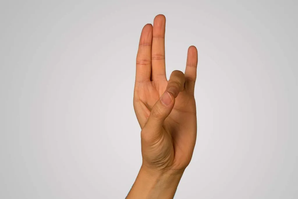 Mãos demonstrando o Prithvi Mudra, ligado à estabilidade e à força
