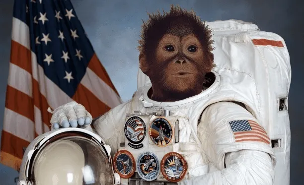 Macaco astronauta, personagem imaginário da história divertida sobre a Área 51