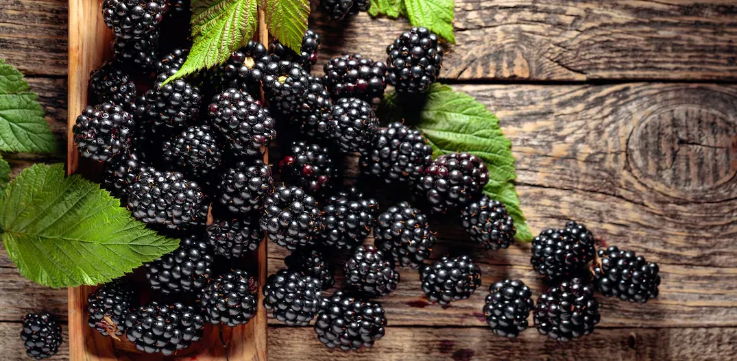 Como se diz Amora em inglês? Blackberries