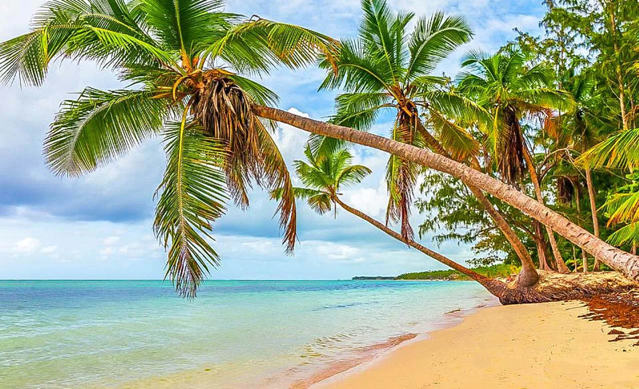 Paisagem verde da região de Casamance no sul do Senegal