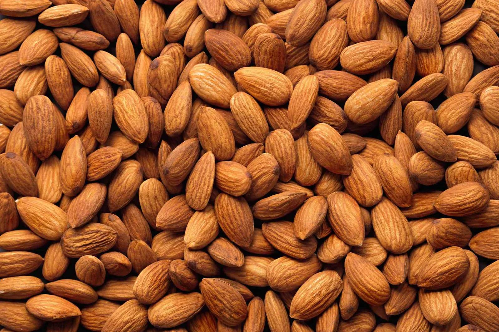 Como se diz Amêndoa em inglês? Almond
