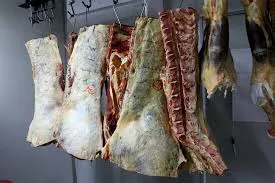 Carcaça bovina avaliada por peso e marmoreio na fase de abate (slaughter), padrões de qualidade da carne