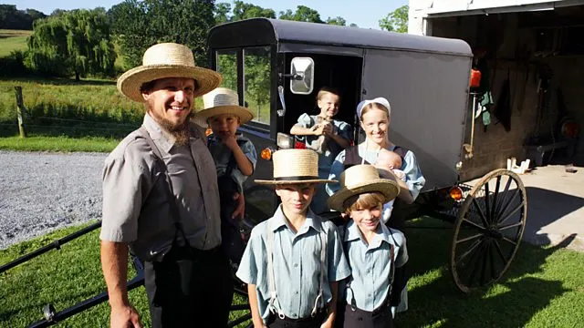 Família Amish em carruagem tradicional, ilustrando o modo de vida simples abordado no texto