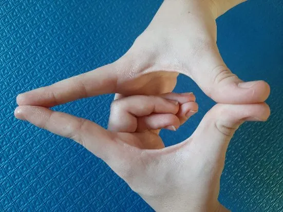 Mãos demonstrando o Yoni Mudra, símbolo da fonte da criação