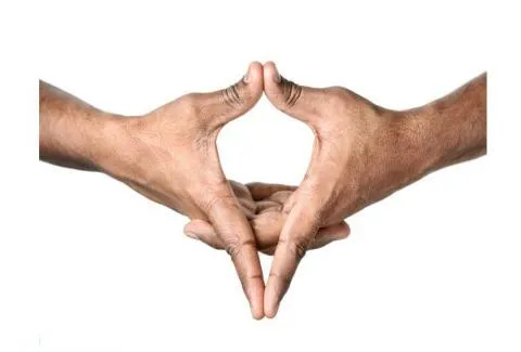 Mãos demonstrando o Uttarabodhi Mudra, símbolo da iluminação suprema