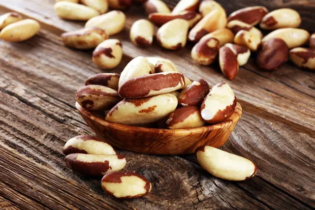 E o que é conhecido como Brazil Nut? Castanha-do-Pará