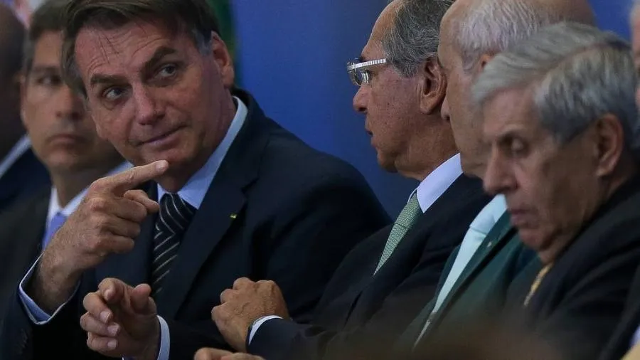 Chimpanzés interagindo, representando alianças e dinâmicas sociais semelhantes à política humana