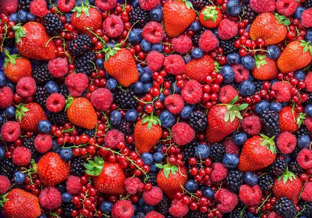 Ilustração de oito tipos de frutas vermelhas organizadas em uma grade, com o nome de cada fruta embaixo. De cima para baixo, da esquerda para a direita: framboesas, jostaberries, amoras, groselhas, morangos, mirtilos, boysenberries e groselhas-verdes.