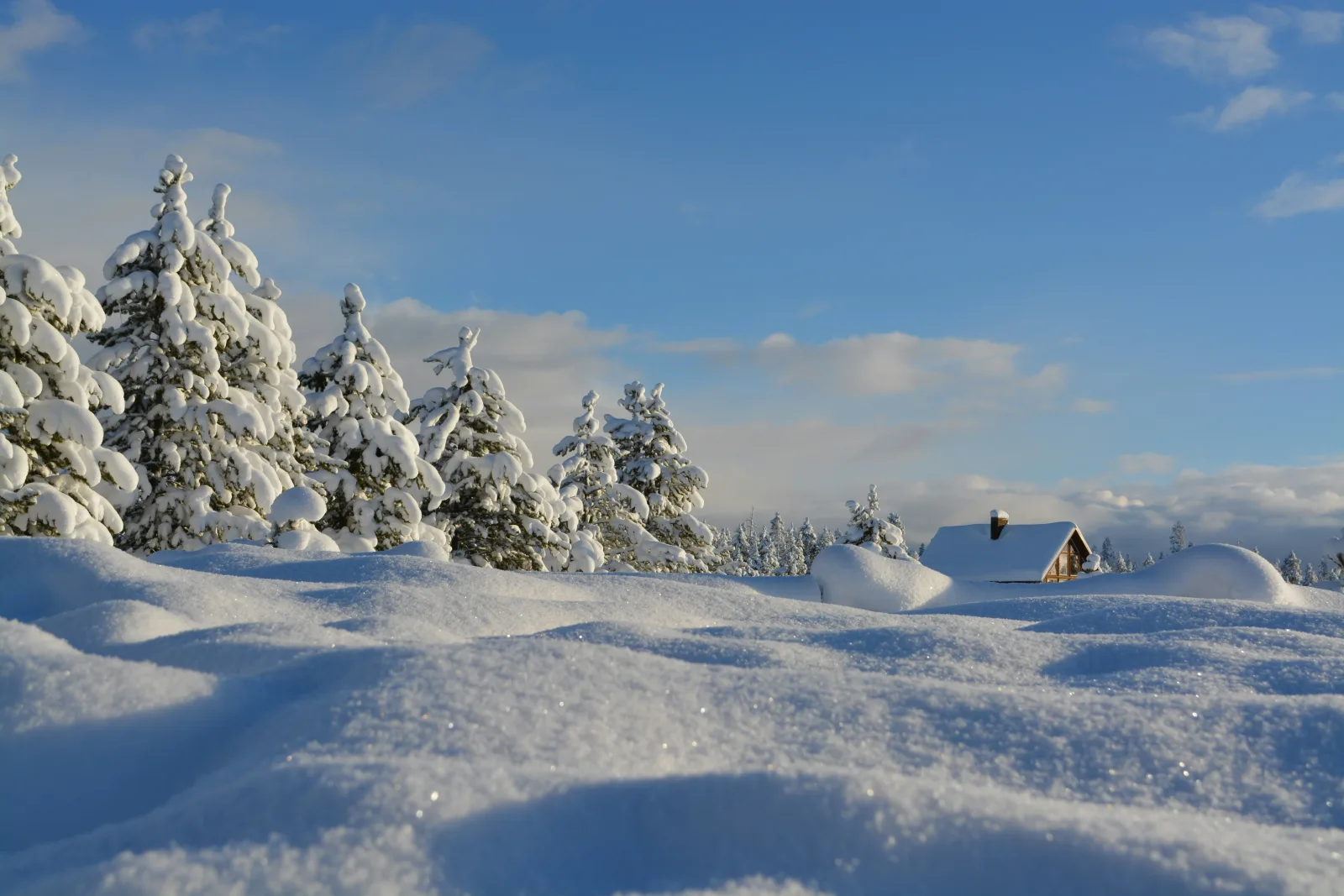 Paisagem coberta de neve com pinheiros e uma cabana — winter, o inverno em inglês