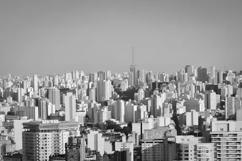 Se você está em Jardins (Jardim Paulista, Jardim Europa, Jardim América), Pinheiros, Vila Madalena, Consolação ou República, a Lingualize é a sua melhor opção para cursos de inglês focados em executivos e profissionais.