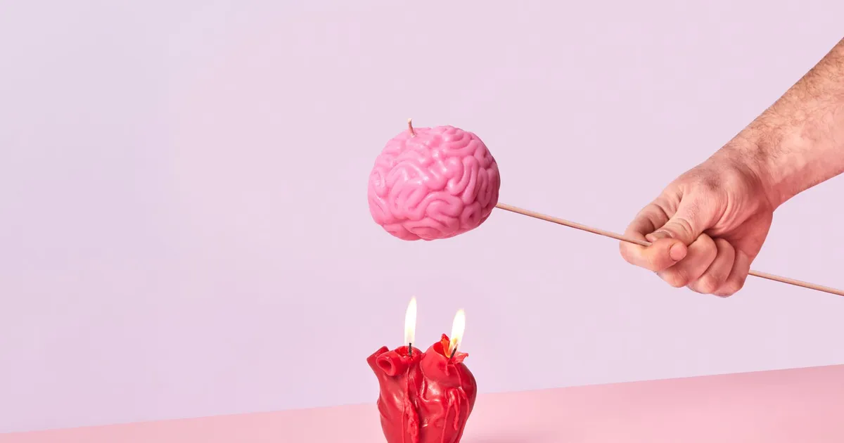 Modelo anatômico de cérebro, ilustrando Core Self-Evaluation: o Traço Psicológico do Líder
