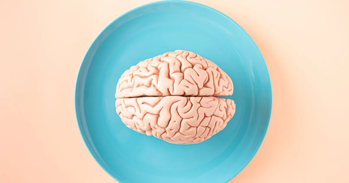 Modelo anatômico de cérebro, ilustrando Growth mindset em inglês: vocabulário e frases para líderes e profissionais