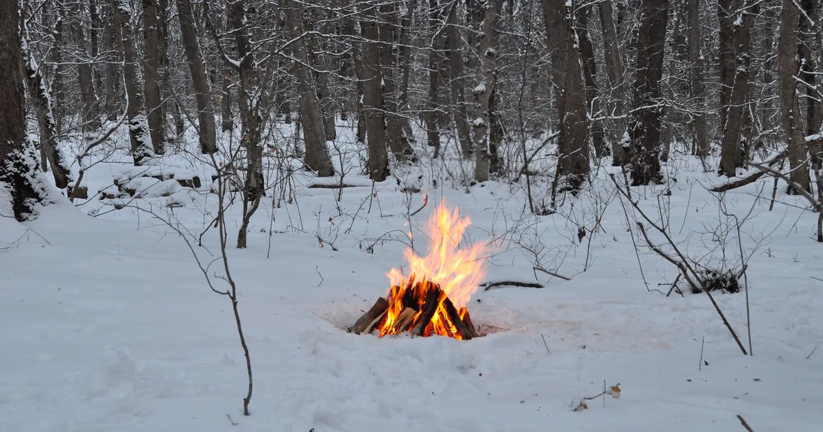 Fogueira acesa na neve em meio a uma floresta de inverno, cenário da simulação de sobrevivência